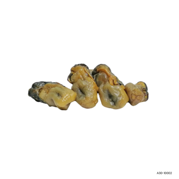 MUDAN Korean Dried Oyster (L) 200PC/KG